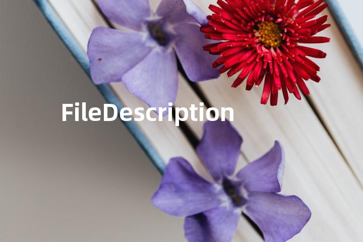 FileDescription单词图解，单词释义场景配图