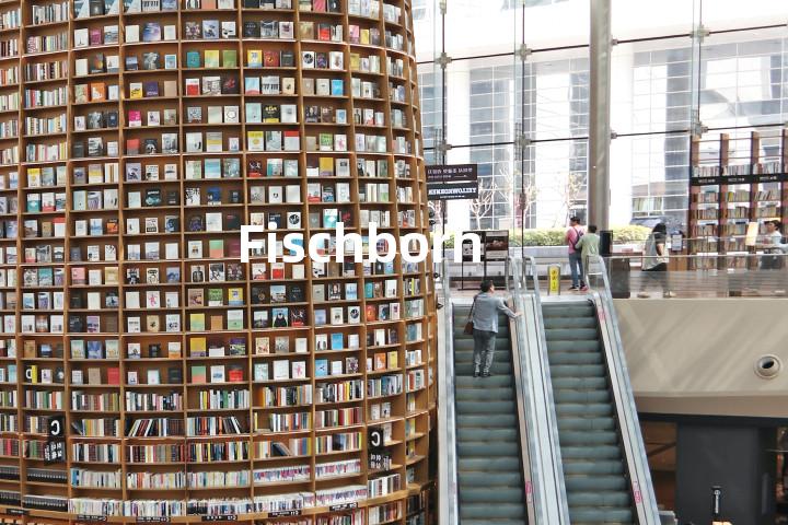 Fischborn单词图解，单词释义场景配图
