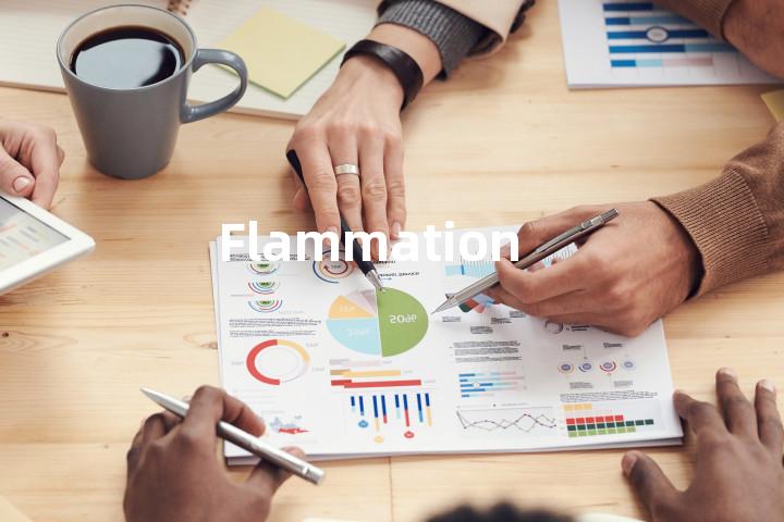 Flammation