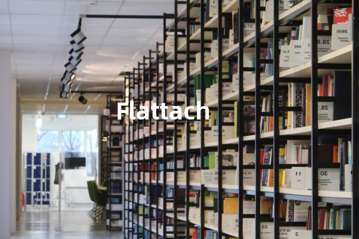 Flattach单词图解，单词释义场景配图