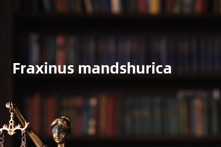 Fraxinus mandshurica单词图解，单词释义场景配图