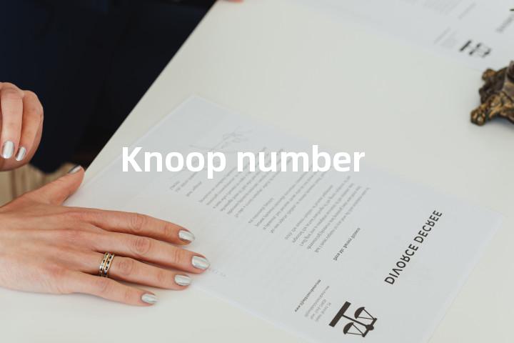 Knoop number单词图解，单词释义场景配图