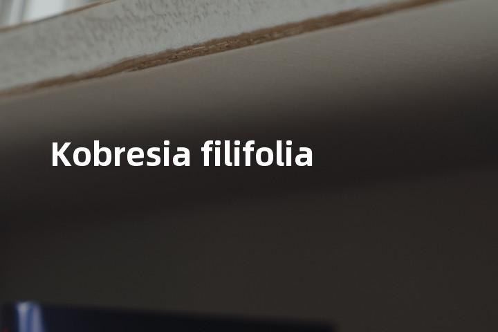 Kobresia filifolia单词图解，单词释义场景配图