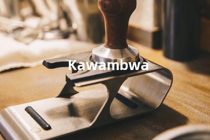 Kawambwa单词图解，单词释义场景配图