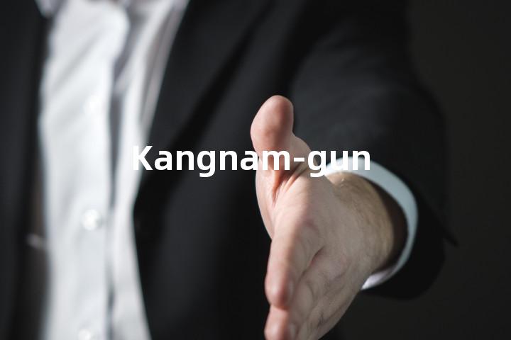 Kangnam-gun单词图解，单词释义场景配图