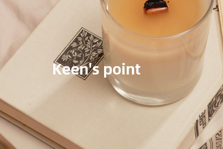 Keen's point单词图解，单词释义场景配图