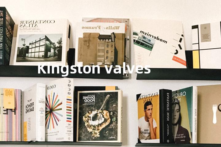 Kingston valves单词图解，单词释义场景配图