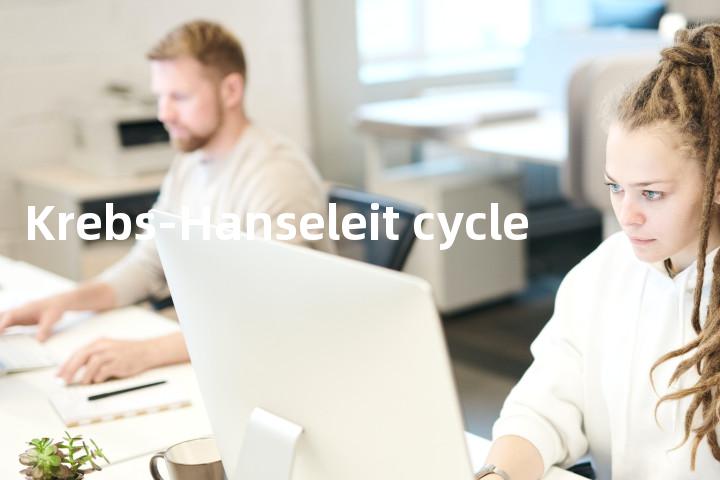 Krebs-Hanseleit cycle单词图解，单词释义场景配图