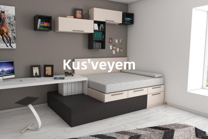 Kus'veyem单词图解，单词释义场景配图