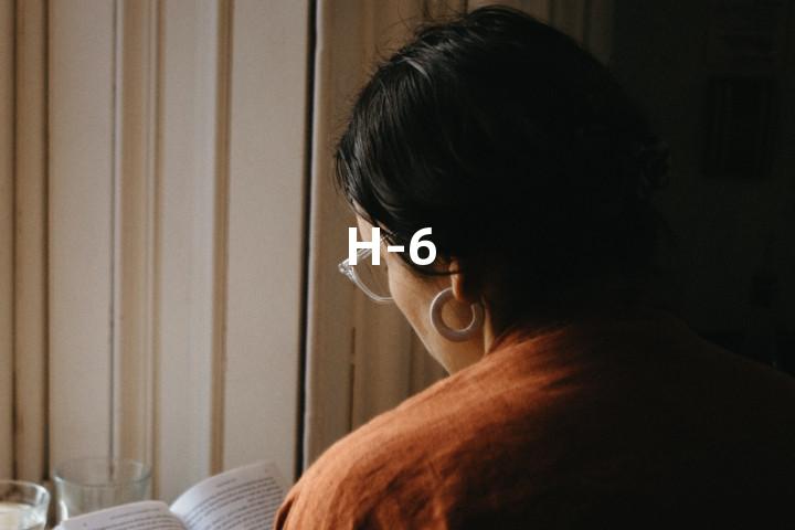 H-6单词图解，单词释义场景配图