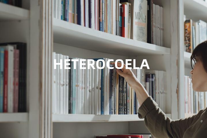 HETEROCOELA单词图解，单词释义场景配图