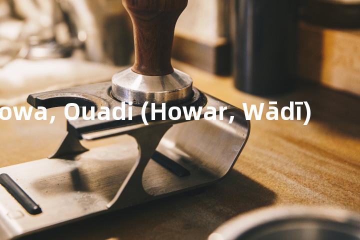 Howa, Ouadi (Howar, Wādī)单词图解，单词释义场景配图