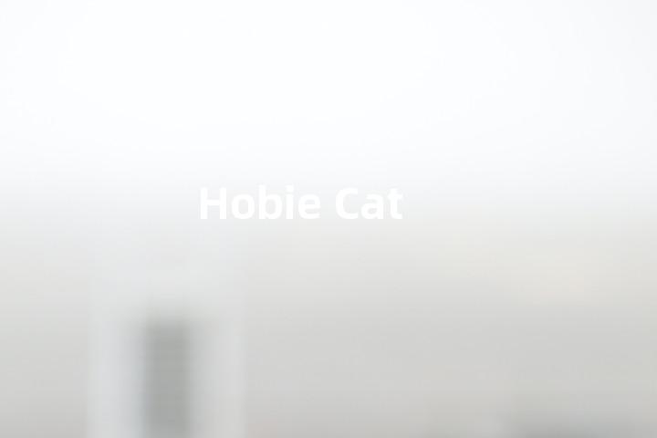 Hobie Cat单词图解，单词释义场景配图