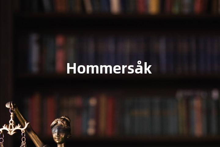 Hommersåk单词图解，单词释义场景配图