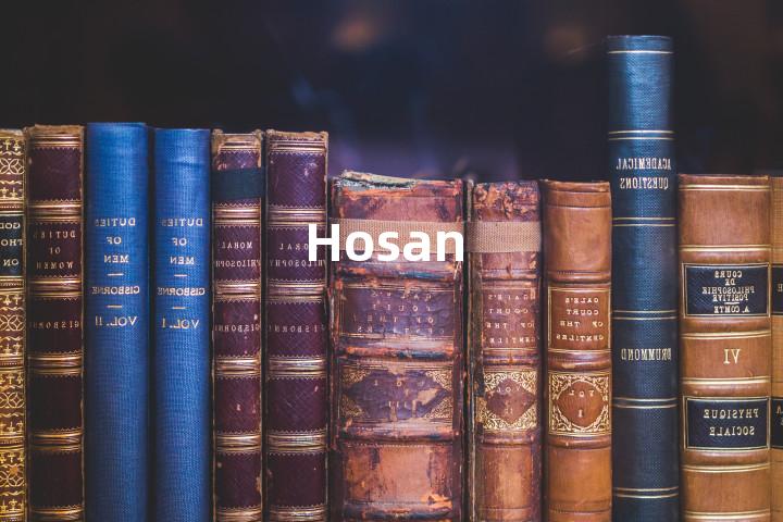 Hosan单词图解，单词释义场景配图