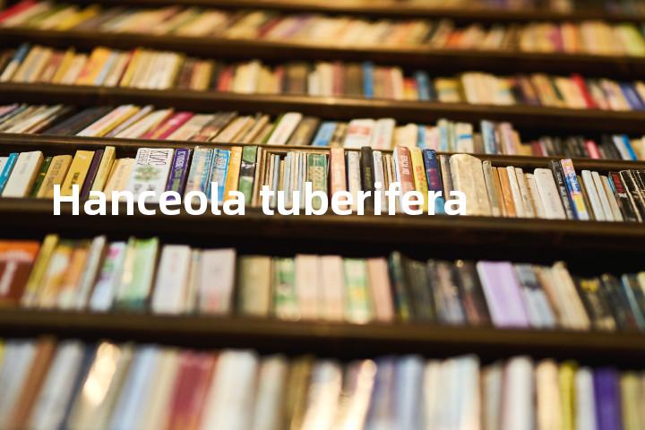 Hanceola tuberifera单词图解，单词释义场景配图