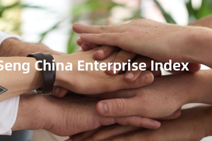 Hang Seng China Enterprise Index单词图解，单词释义场景配图
