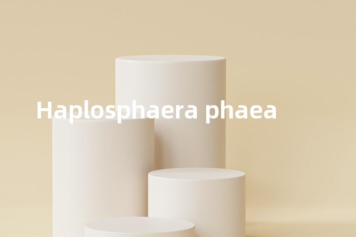 Haplosphaera phaea单词图解，单词释义场景配图