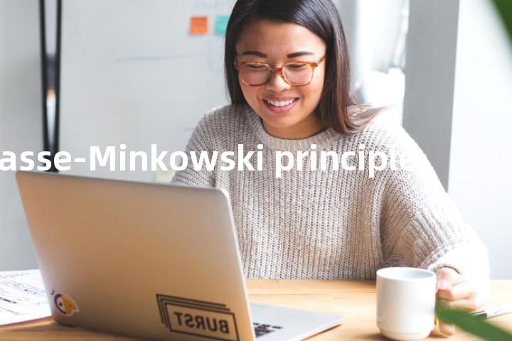 Hasse-Minkowski principle单词图解，单词释义场景配图