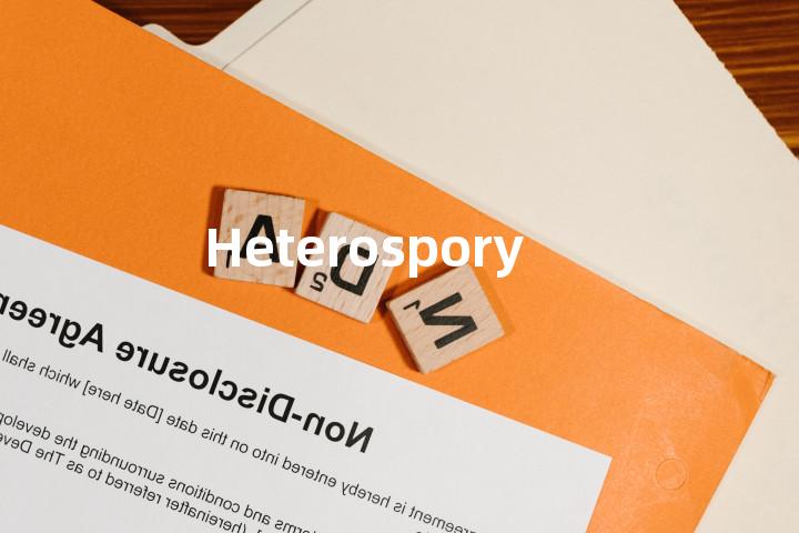 Heterospory