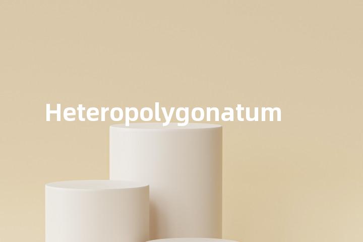 Heteropolygonatum单词图解，单词释义场景配图