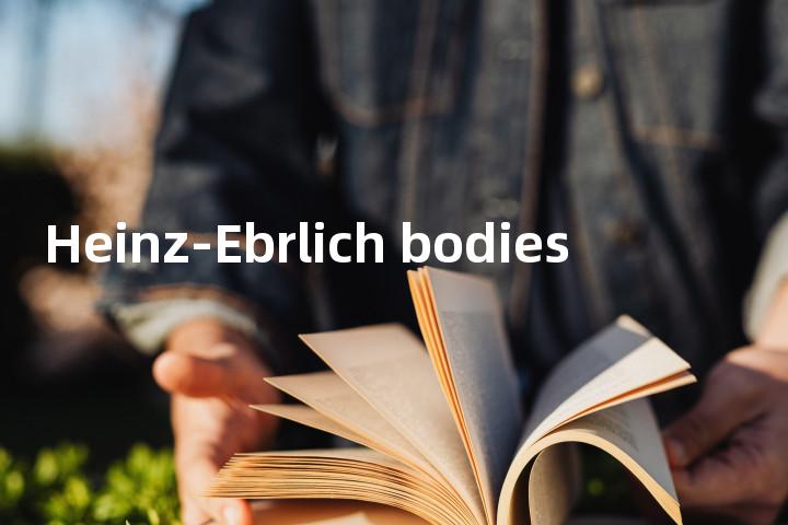 Heinz-Ebrlich bodies单词图解，单词释义场景配图