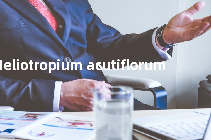 Heliotropium acutiflorum单词图解，单词释义场景配图