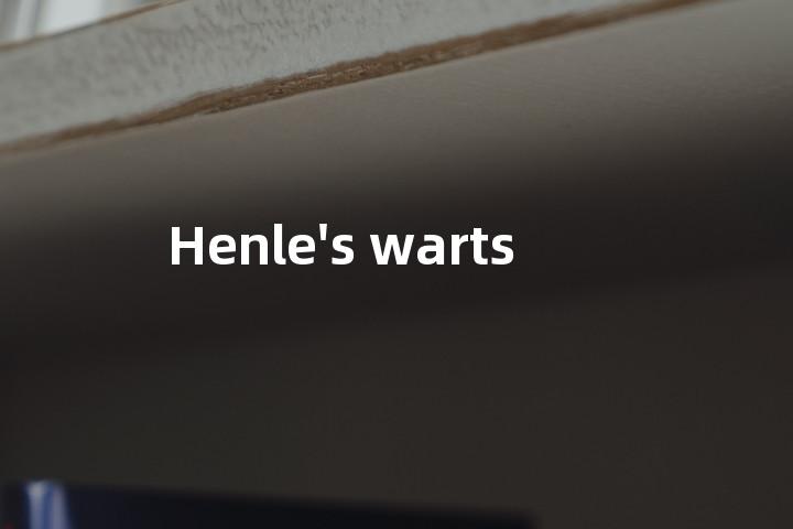 Henle's warts单词图解，单词释义场景配图