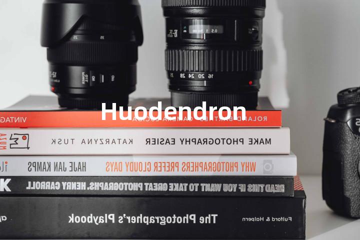 Huodendron单词图解，单词释义场景配图