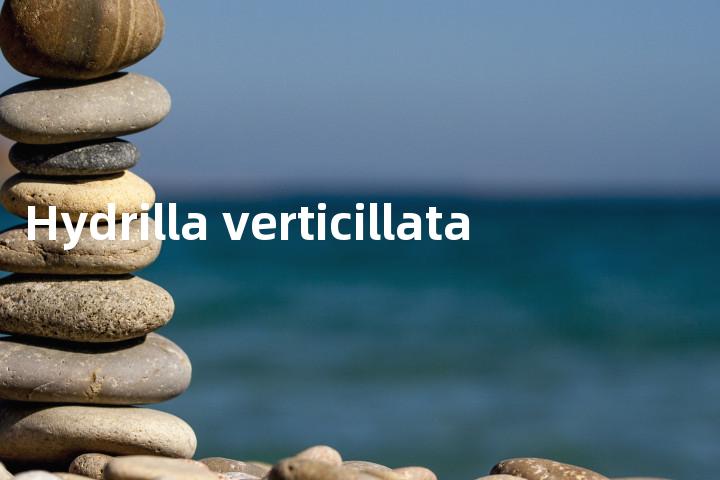 Hydrilla verticillata单词图解，单词释义场景配图