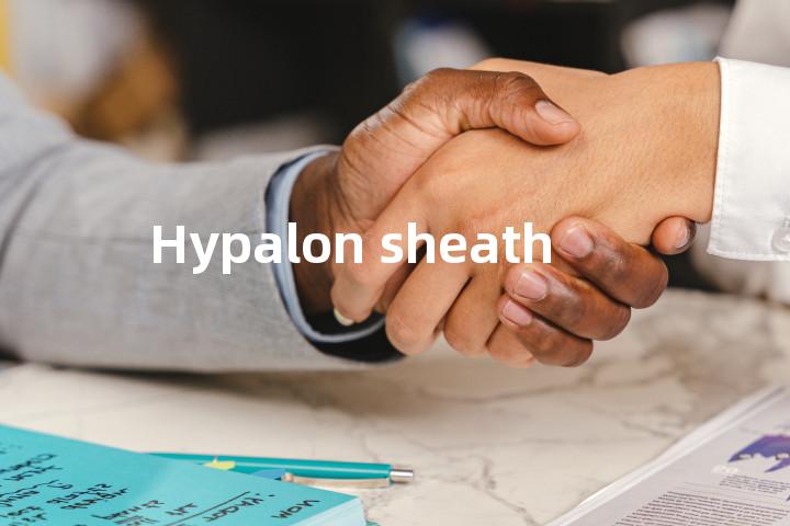 Hypalon sheath单词图解，单词释义场景配图