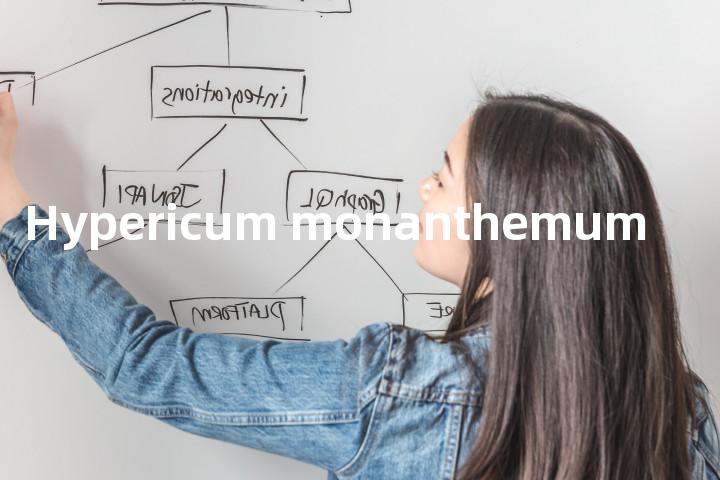 Hypericum monanthemum单词图解，单词释义场景配图