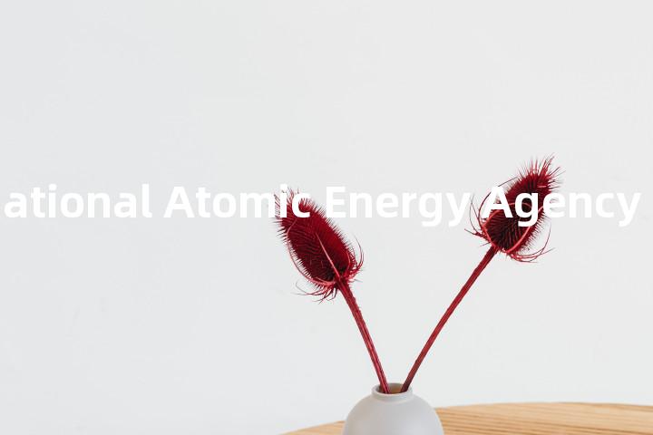 IAEA (International Atomic Energy Agency)单词图解，单词释义场景配图
