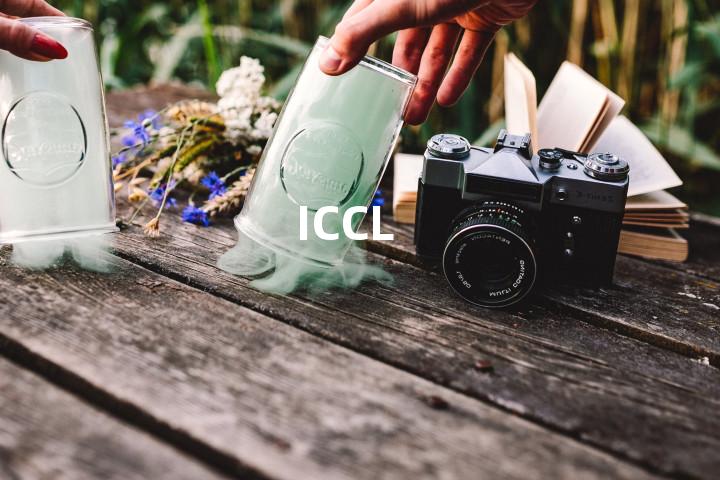 ICCL单词图解，单词释义场景配图