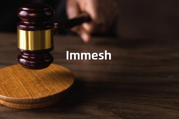 Immesh