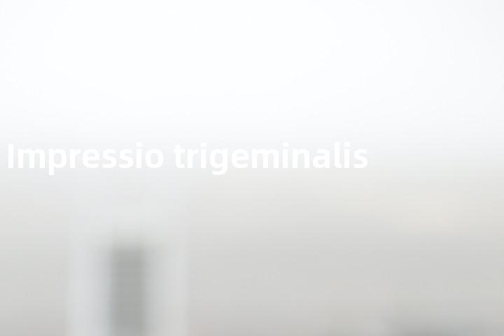 Impressio trigeminalis单词图解，单词释义场景配图
