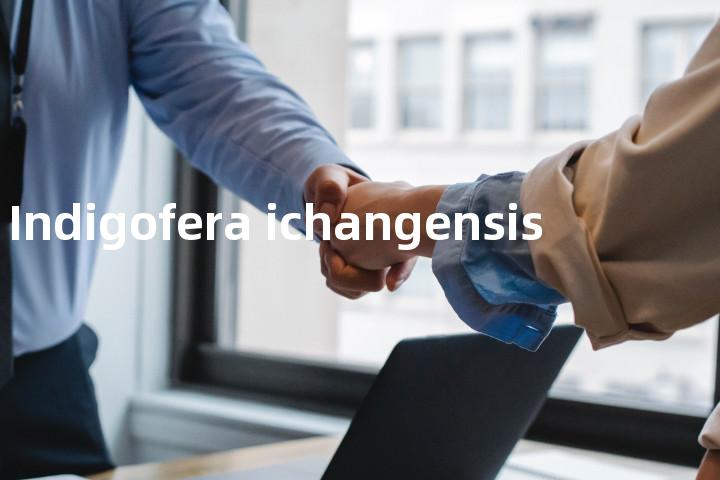 Indigofera ichangensis单词图解，单词释义场景配图