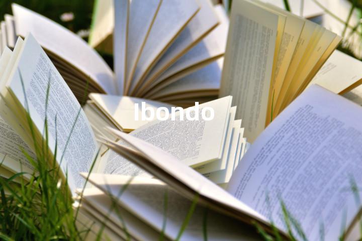 Ibondo单词图解，单词释义场景配图