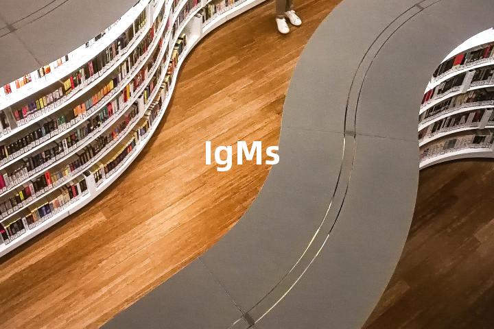 IgMs单词图解，单词释义场景配图