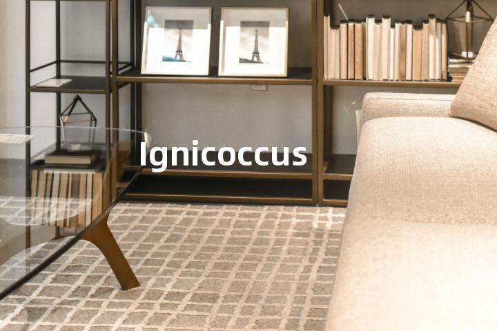 Ignicoccus单词图解，单词释义场景配图