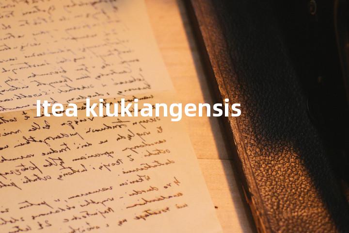 Itea kiukiangensis单词图解，单词释义场景配图
