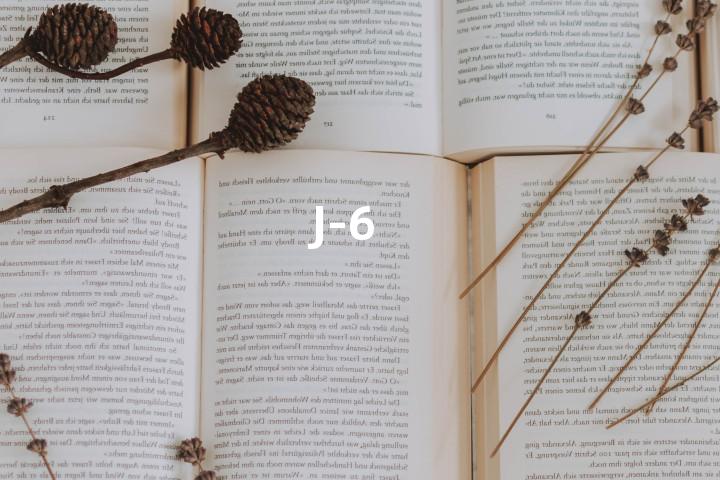 J-6单词图解，单词释义场景配图