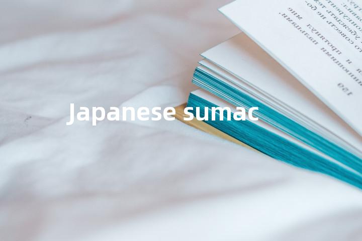 Japanese sumac单词图解，单词释义场景配图