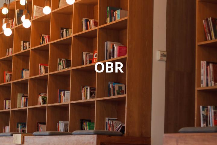 OBR单词图解，单词释义场景配图
