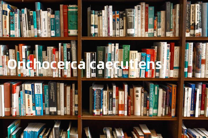 Onchocerca caecutiens单词图解，单词释义场景配图