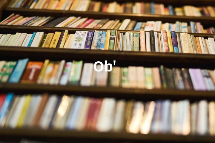 Ob'单词图解，单词释义场景配图