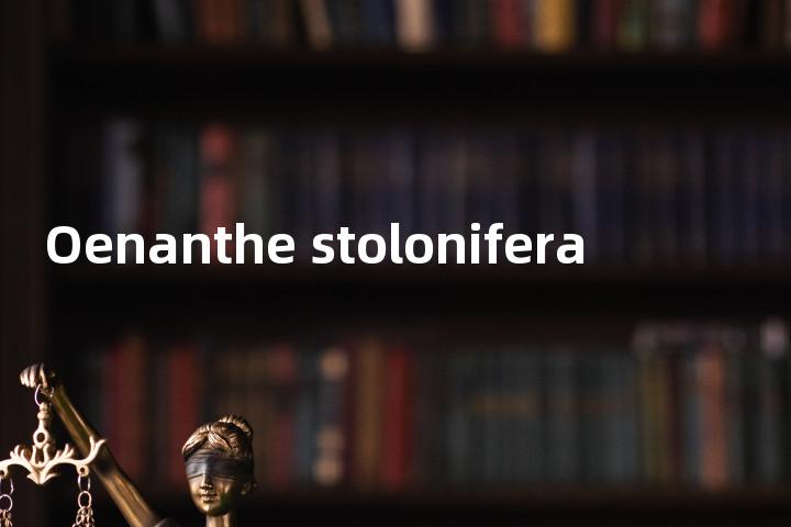 Oenanthe stolonifera单词图解，单词释义场景配图