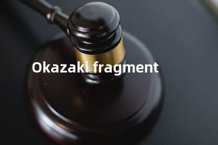 Okazaki fragment单词图解，单词释义场景配图