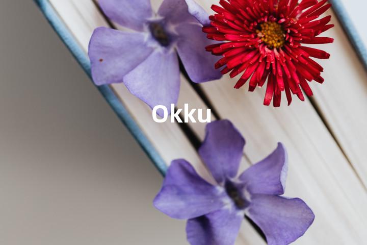 Okku单词图解，单词释义场景配图