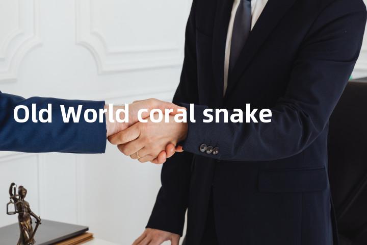Old World coral snake单词图解，单词释义场景配图
